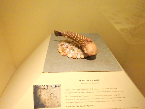 Museo Inka, Cuzco.